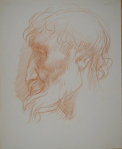 Head of a bearded man in profile to left