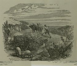 The Spring Walk