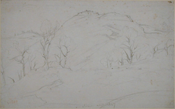 View of Olevano with trees in the foreground