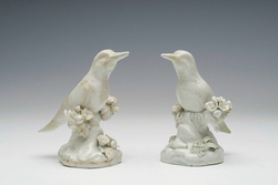 Bird, one of a pair