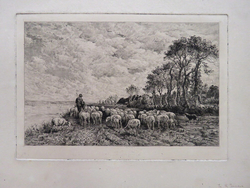 Shepherd and sheep