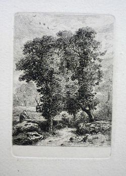 A Blanzat.  Noyers