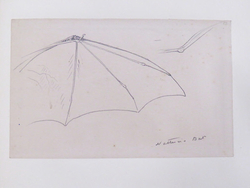 Study of the Arm and Wing of a Bat