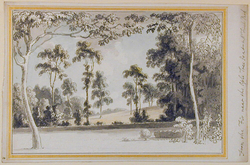 View of Mr Finch's Park