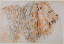 Recto: Studies of the Head of a Lion
Verso: Studies of the Head of a Lion