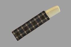 Comb Case