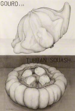 Gourd x 3.5, Turban Squash x 1.5