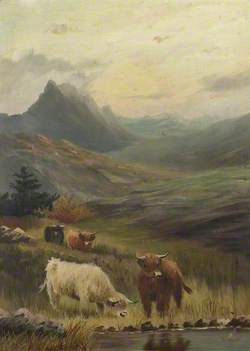 Highland Cattle by Water in a Mountainous Landscape*