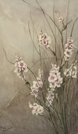Rice Flowers