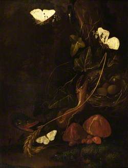 Ivy with Bird's Nest, Snakes and Moths