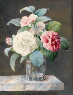 A cut glass vase containing white, pink and red camellias on a variegated marble slab