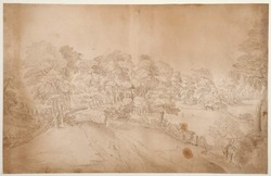 Houses in a wooded landscape