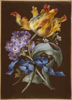 Sprays of auricula and tulip, tied with blue ribbon, with a dragonfly and a burnet moth on a leaf