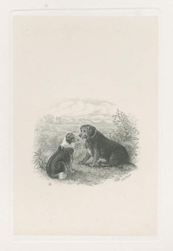 The twa dogs