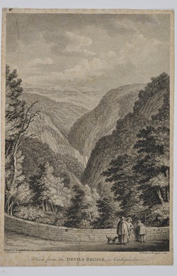 A View from the Devils Bridge in Cardiganshire