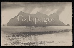 Galapagos Suite