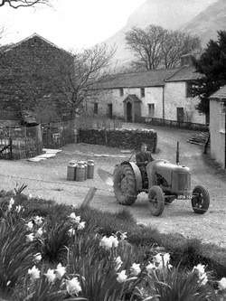 Farmyard Scene, Buttermere