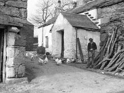 Land Girl with Poultry