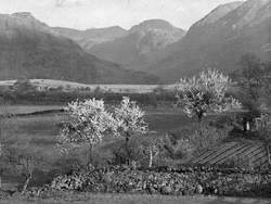 Fields, Fells and Lake
