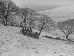 Shap Fells in Winter