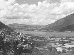 Bassenthwaite Landscape