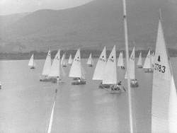 Sailing Regatta on Lake