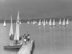 Sailing Regatta on Lake