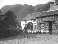 Yew Tree Farm, Coniston