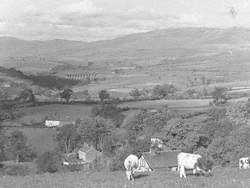 Lunesdale Landscape