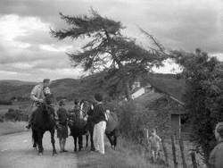 Family Pony Trekking