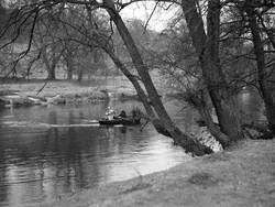 Fishing at Eden