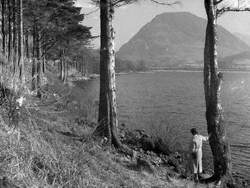 Shore of Loweswater