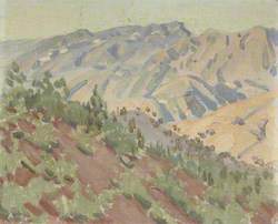 Mountains and Valleys: Foothills of the Amanus