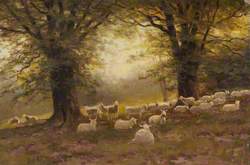 East Heath, Sheep under Trees