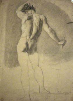 A Standing Male Nude Seen from the Rear