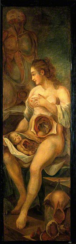 A Seated Woman, Dissected, Holding a Dissected Baby, Accompanied by Separate Sections of the Body