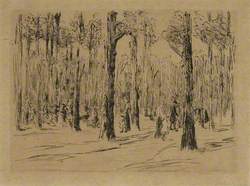 Woods by Scheveningen