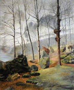 Woodland Glade, Greve de Lecq Valley, Jersey