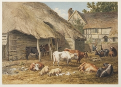 A Farmyard Scene with Cattle and Pigs