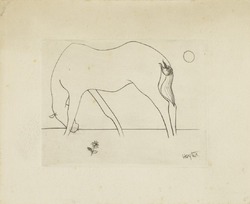 Small Horse