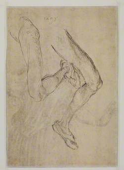 Study of a Left Leg from Two Viewpoints