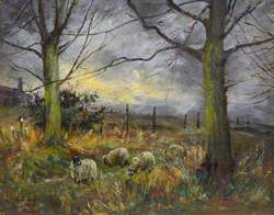 Country Scene with Sheep