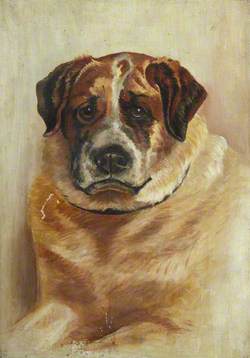 Dog's Head