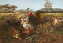 Fowls in the Stubble