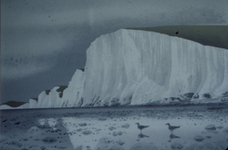 Seven Sisters