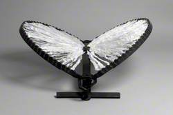 Angel Wings