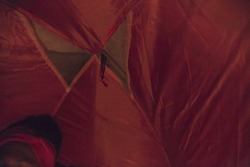 The Red Butterfly