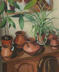 Plant Pots/Ferns