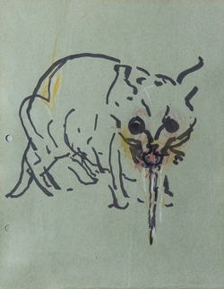 Cat Vomiting