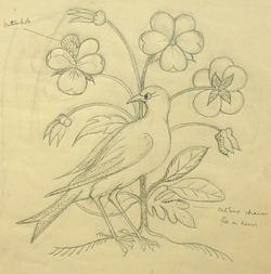 Bird with Flower Design